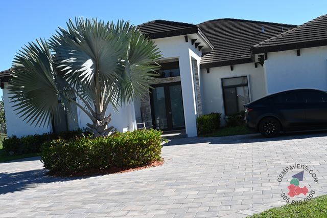 12×12 · Forrest