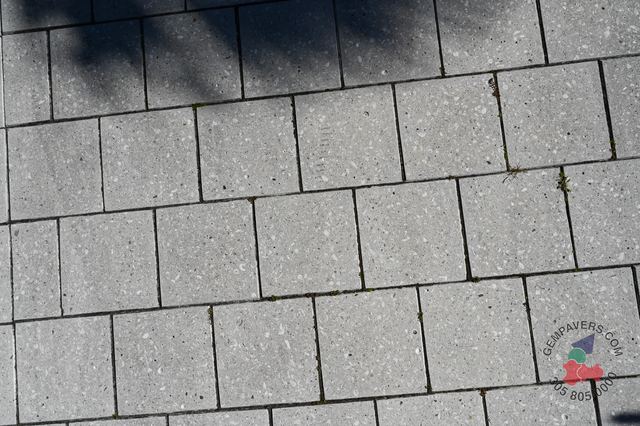 12×12 · Grey Polished