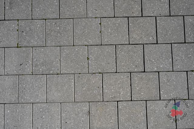 12×12 · Grey Polished