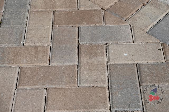4×8 Brick · Amaretto