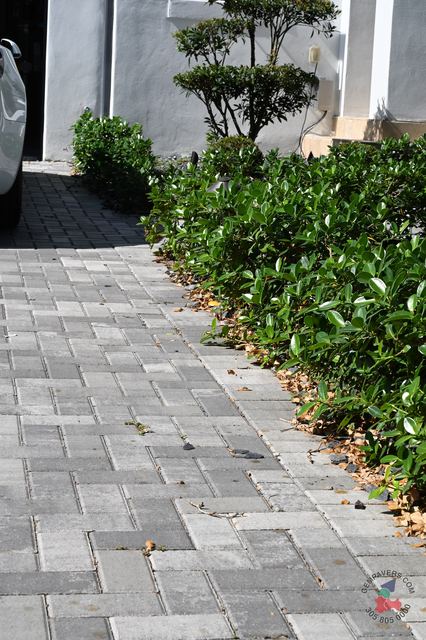 4×8 Brick · Marble Slate