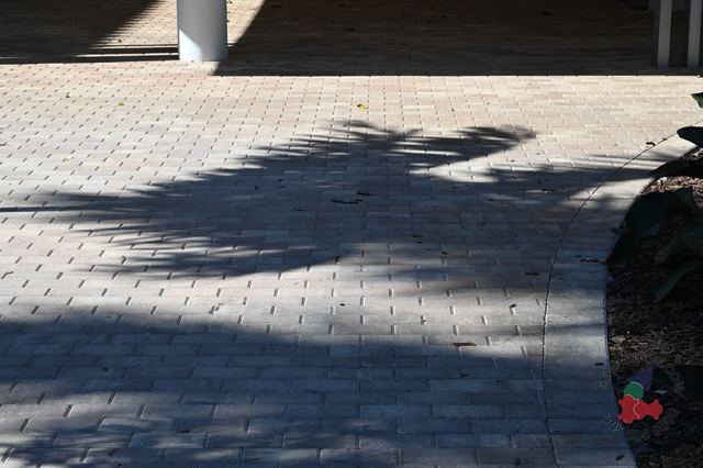 4×8 Brick · Tan Sandstone