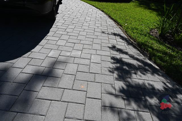 New Miami · Charcoal 2