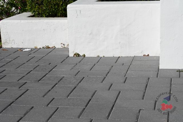 New Miami · Charcoal
