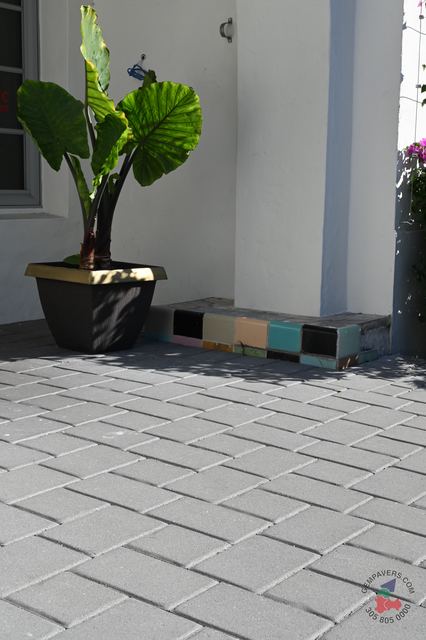 New Miami · Charcoal