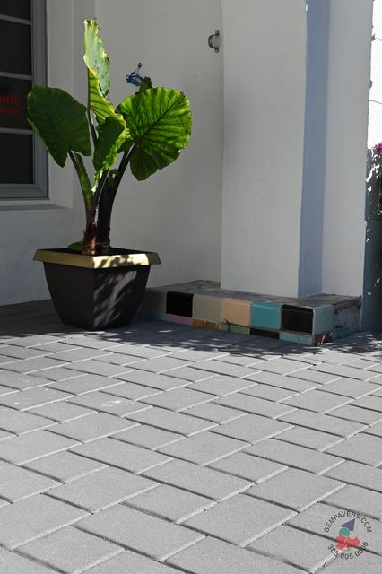 New Miami · Charcoal