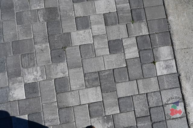 New Miami · Marble Slate