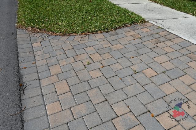 New Miami · Tan Charcoal