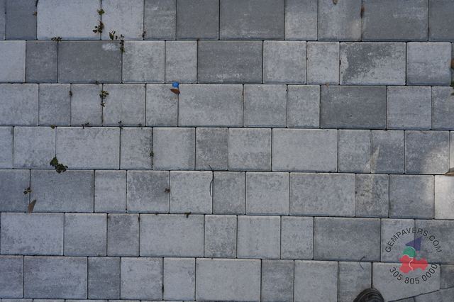 Old Miami · Grey White