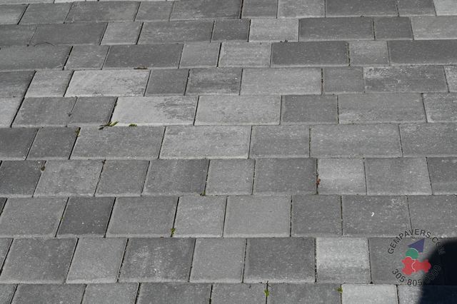 Old Miami · Marble Slate