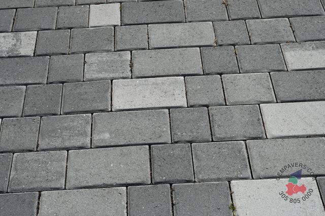 Old Miami · Marble Slate