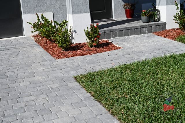 Old Miami · Slate