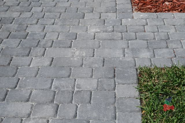 Old Miami · Slate