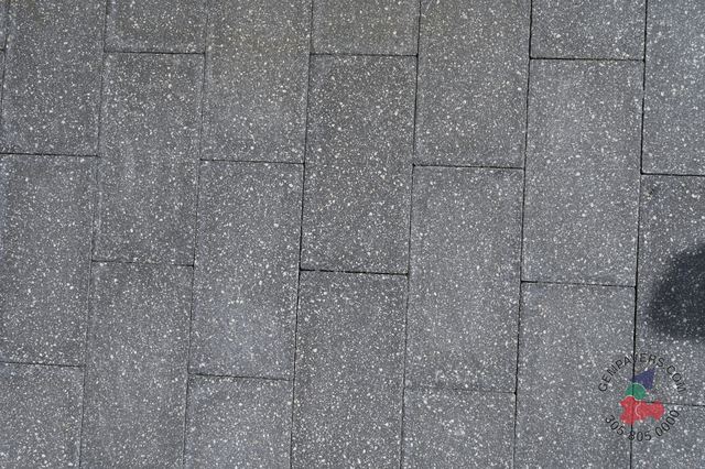 Plank Paver 8×16 · Charcoal Polished