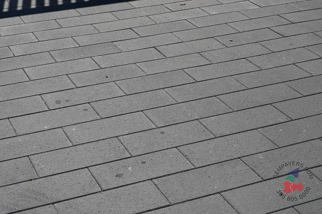Plank Paver 8×16 · Grey
