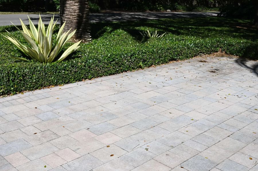 Plank 4×12 paver